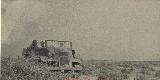 31k WW2 photo of CMP 15 (cab Nr. 11) of Luftwaffe, Afrika Korps