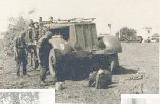 11k WW2 photo of Sd. Kfz. 9 Typ F3