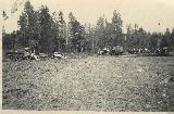 127k WW2 photo of GAZ-AA and BT tank