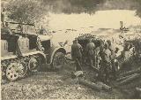 87k WW2 photo of Sd.Kfz.7