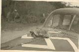 30k WW2 photo of Wehrmacht 1938 Packard 6 sedan, USSR, Kalmykia?