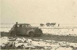 35k WW2 photo of Wehrmacht 1938 Packard 6 sedan, USSR, Kalmykia?