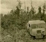 61k VIII 1943 photo of RSO/01, near Holm, Novgorod region, Russia